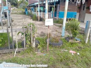 Penantian Hingga 30 Tahun Berakhir, 10 Sekolah di Teluk Bintuni Kini Punya Fasilitas Baru